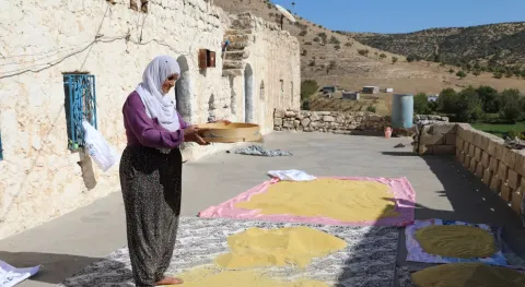 Benzer Haber