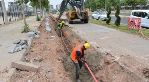 Haber Resmi