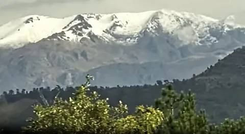 Benzer Haber