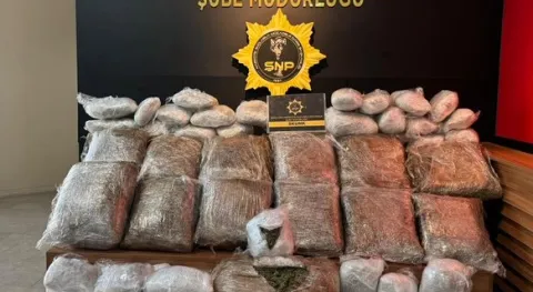 Haber Resmi