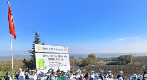 Haber Resmi