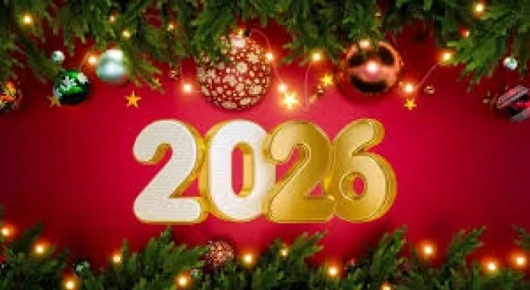 2026 Yılbaşı gecesi hangi programlar var? Yayın akışı...