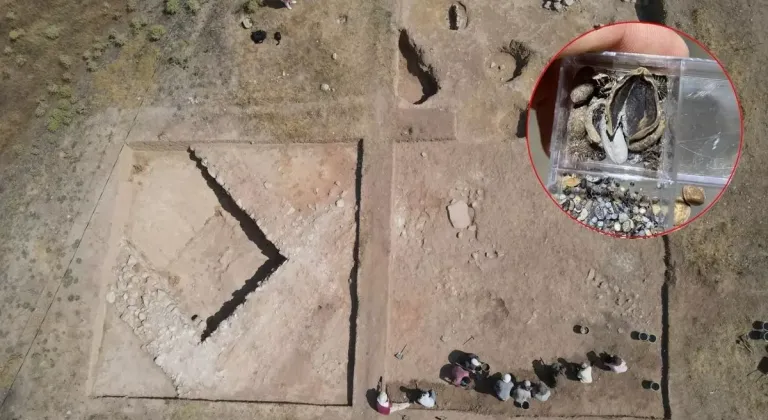 3 bin 500 yıllık fındık fosili Samsun'da bulundu