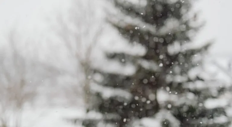 Adana'da yarın okullar tatil mi, kar tatili mi var? 6 Ocak 2026 okullar tatil mi?