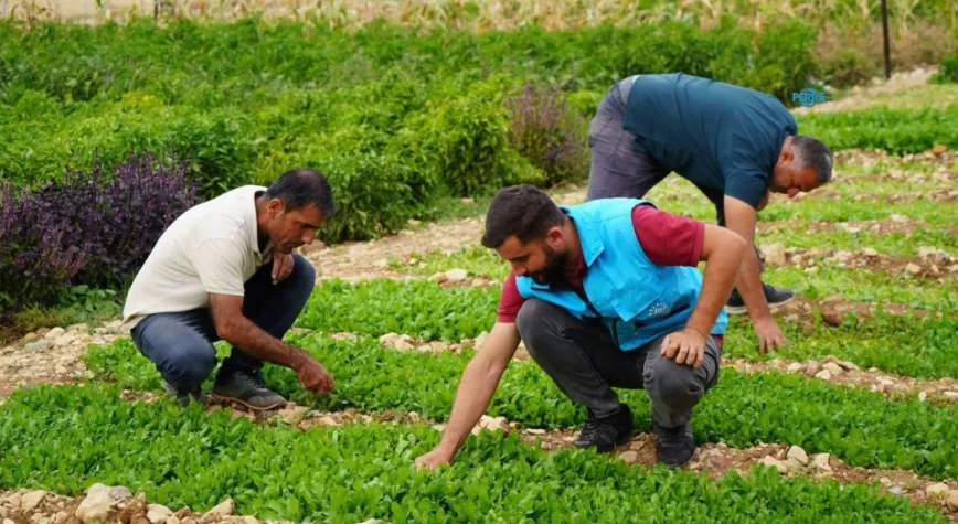 Adıyaman’da belediye ve kadın kooperatifinin üretim merkezinde sonbahar mesaisi