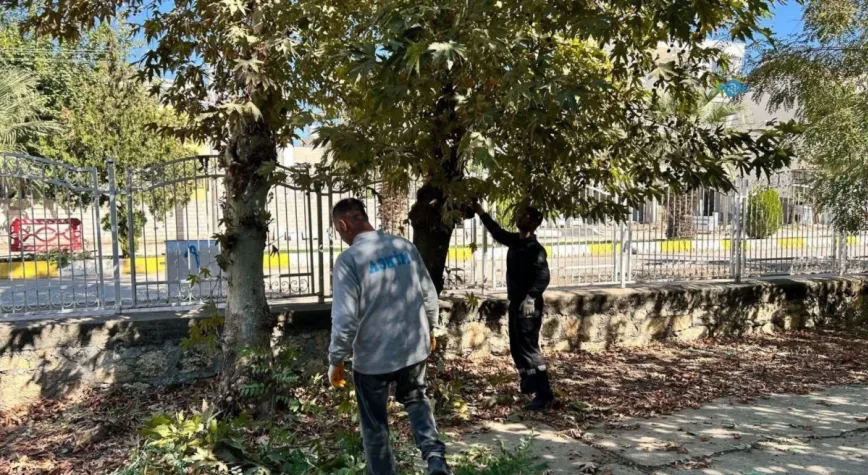 Adıyaman’da Eski Mezarlık’ta bakım ve temizlik çalışması başlatıldı