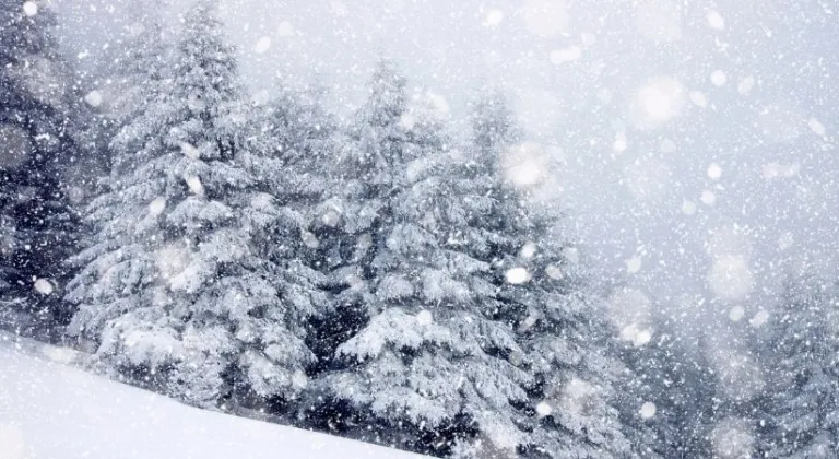 Adıyaman’da yarın okullar var mı yok mu? 12 Ocak 2026 okullar tatil mi?