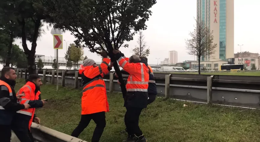 Aylık Toplam Yağışın 4 Katı Bir Günde Düştü
