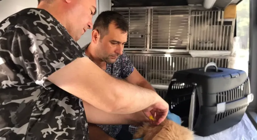Balıkesir’de Can Dost Mobil Bakım Aracı 19 Ekim’de Savaştepe’de Hizmete Başlıyor