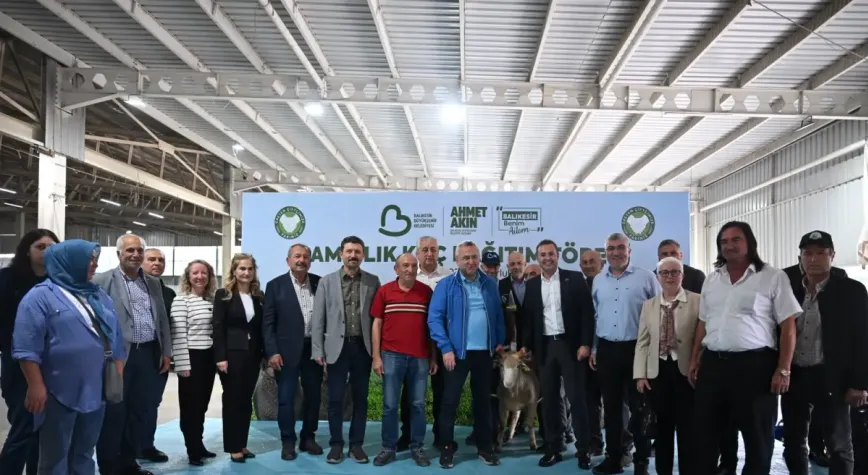 Balıkesir'de hayvancılığa destek damızlık koç dağıtımı