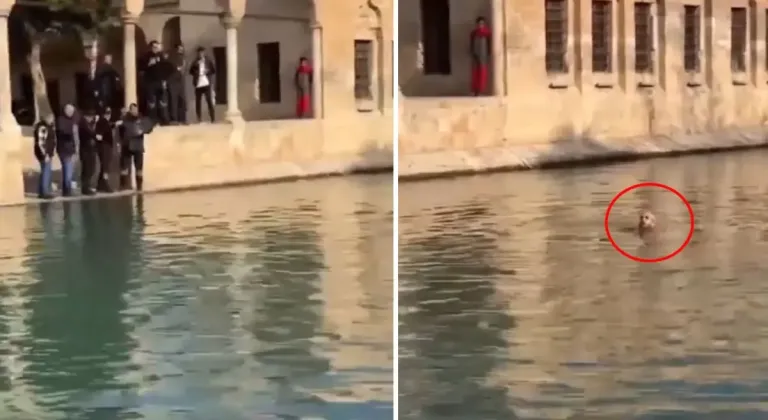 Balıklıgöl'e atlayan genç! O esnada dudaklarından tek cümle döküldü