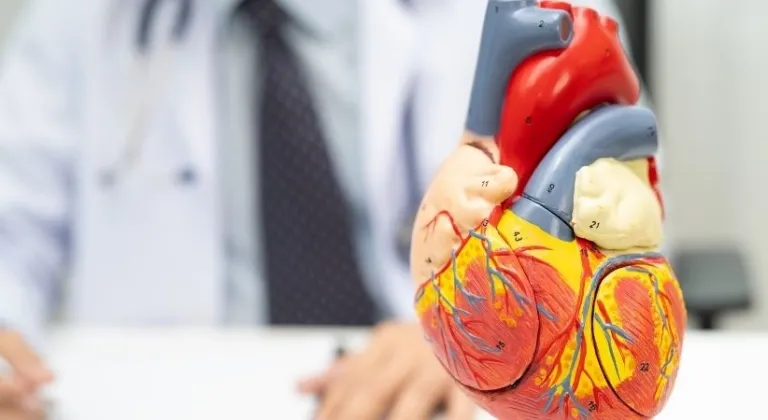 Beloc Zok 50 mg nedir, ne işe yarar, kimler kullanır ve fiyatı ne kadar?