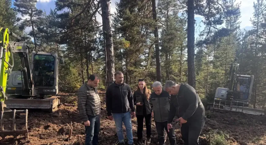 Beypazarı’nda 50 hektarlık alanda doğal gençleştirme çalışması