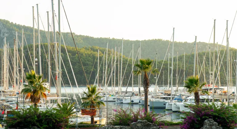 Bosphorus Boat Show 2026'nın Gözdesi Martı Marina: Ege'den Ayrıcalıklı Bir Denizcilik Deneyimi!
