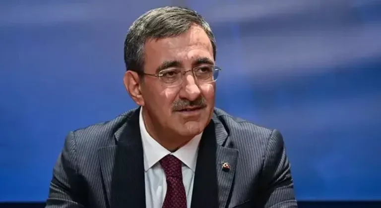 Cevdet Yılmaz: Nüfus meselesi bir beka meselesidir