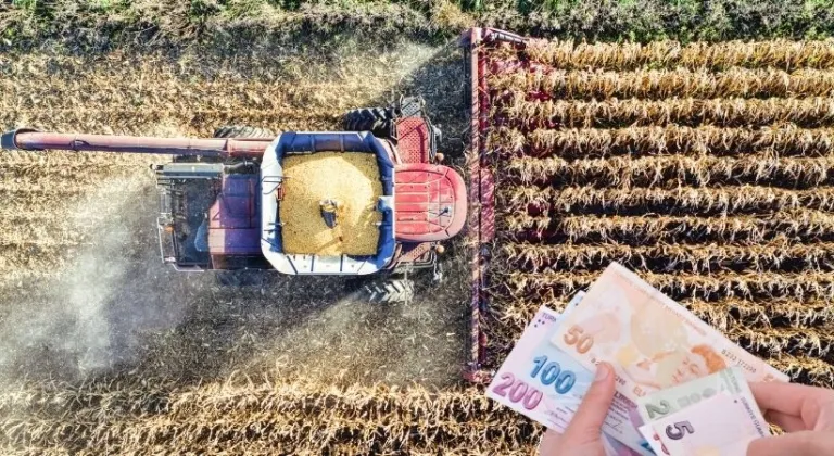 Çiftçiye nefes aldıran destek: Dekar başına 1.029 TL hesaplara yatacak