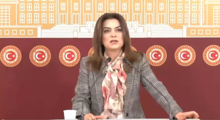 DEM Parti Grup Başkanvekili Koçyiğit: 'Heyetimiz İmralı'ya gidecek ve tarihi çağrı takvimi netleşecek' 