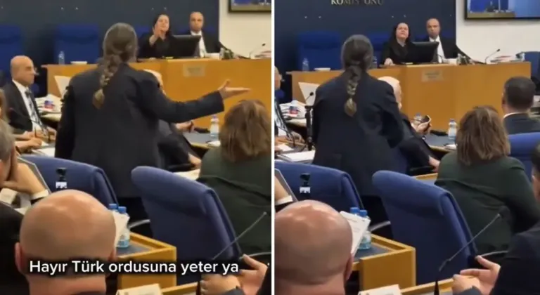 DEM Partili vekilin "Tecavüz" çıkışı Türkeş'in kızını küplere bindirdi