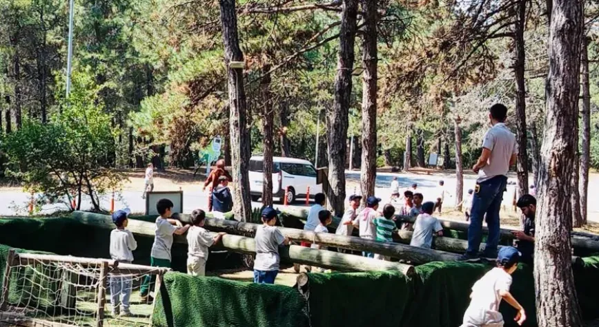 Devlet korumasında 2.240 çocuk yararlandı