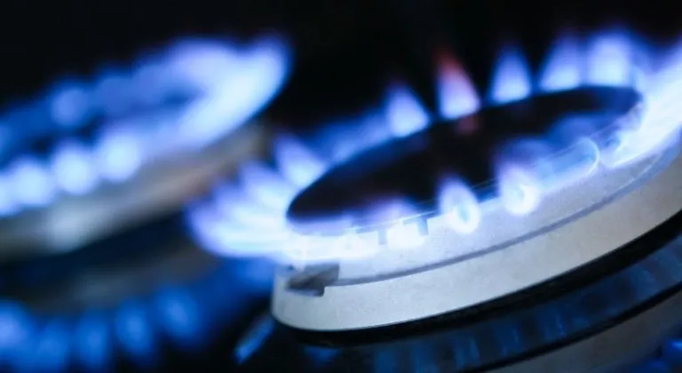 E-Devlet doğalgaz yardımı başvurusu nasıl yapılır?