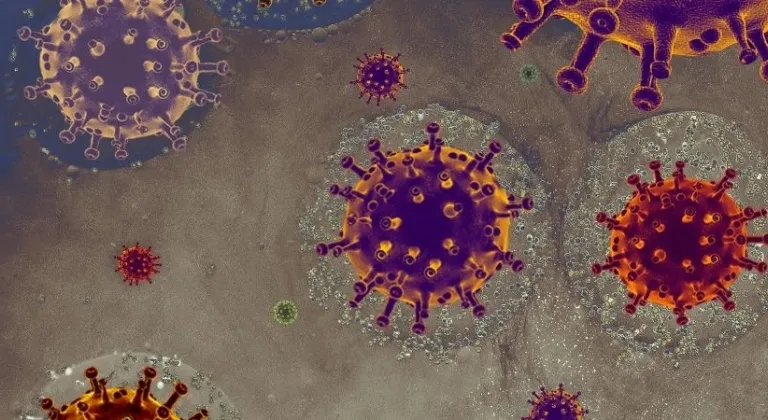 E vitamini ne işe yarar,  nedir, nasıl anlaşılır, belirtileri ve neden olur? Çözümü nedir?