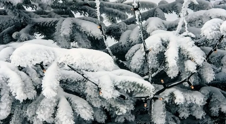 Erzurum'da yarın okullar var mı yok mu? 5 Ocak 2026 okullar tatil mi?