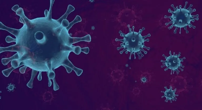 Emes hastalığı nedir? Belirtileri ve tedavileri...