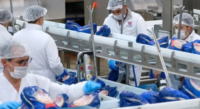 ESK'dan Besiciye Kritik Mesaj: Hayvan Teslimatlarında Aksaklık Yok, Mart Sonu Hedefi Tutuyor!