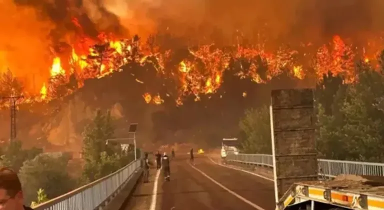 Eskişehir'de 10 orman işçisi şehit oldu