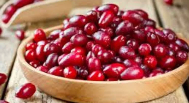 Grip ve soğuk algınlığına karşı kızılcık öne çıkıyor 