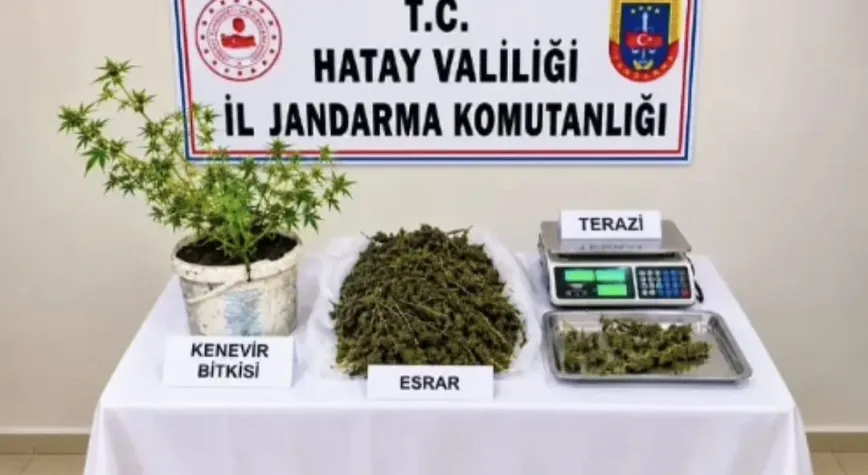 Hatay’da uyuşturucu operasyonu: 1 kişi tutuklandı
