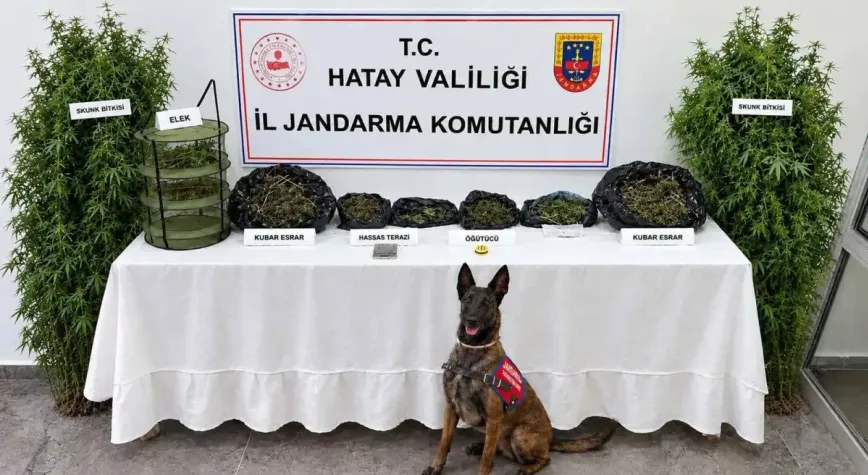 Hatay’da uyuşturucu operasyonu: Esrar ve Skunk ele geçirildi