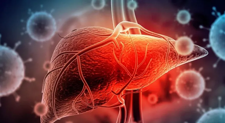 Hepatit A Nedir? Belirtileri Neler, Tedavisi Ve Bulaşma Yolları Nedir?
