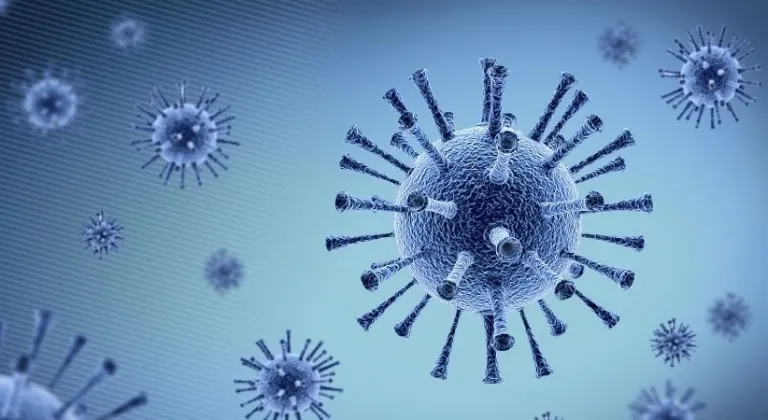 İnfluenza nedir, nasıl bulaşır ve domuz gribi ile ilgili mi?