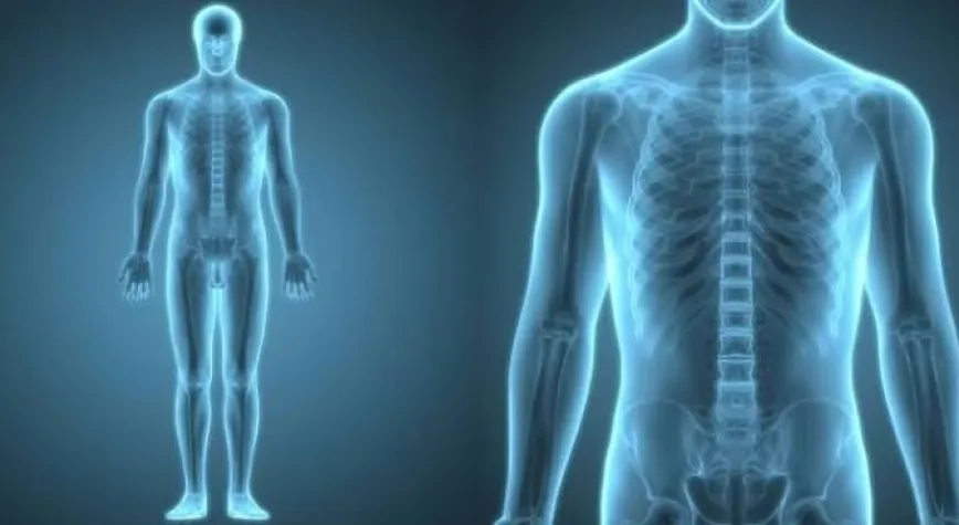 İnsan bedeninde yeni organ keşfedildi! Üstelik kanserle savaşıyor