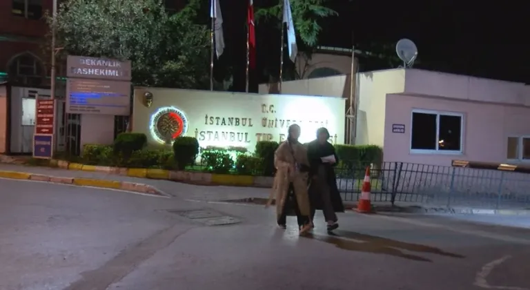 İstanbul'da neler oluyor? Böcek ailesinden sonra vakalar bitmiyor