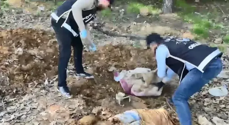 İstanbul'da toprağın altına gömülü cephane ortaya çıktı! Türkiye tarihinde bir ilk