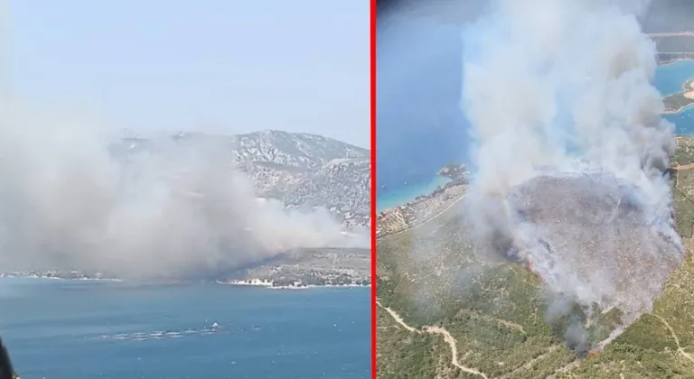 İzmir'de ormanda yangın! Gökyüzünü duman kapladı