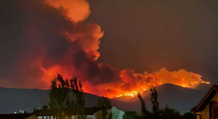 İzmir'in 2 ilçesinde orman yangını! 3 kişi hayatını kaybetti