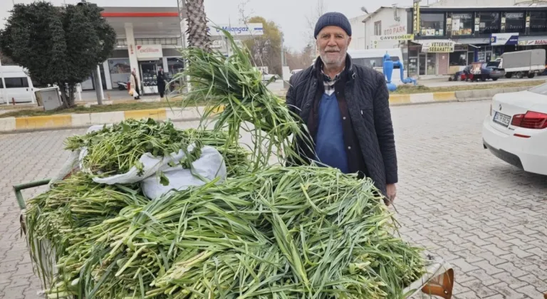 Kâhta’da bahar gelmeden 'Sirim Otu Tezgâhlarda Yerini Aldı' 