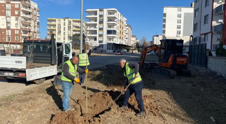 Kahta Belediyesi ağaçlandırma çalışmalarını hızlandırdı 