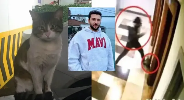 Kedi Eros'u öldüren sanık hakkında flaş gelişme