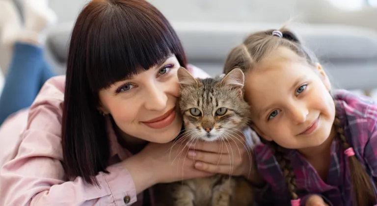 Kediler Hayatımızı Nasıl Değiştiriyor? Türkiye'de 10 Milyon Kediyle Yaşamanın Şaşırtıcı Faydaları!