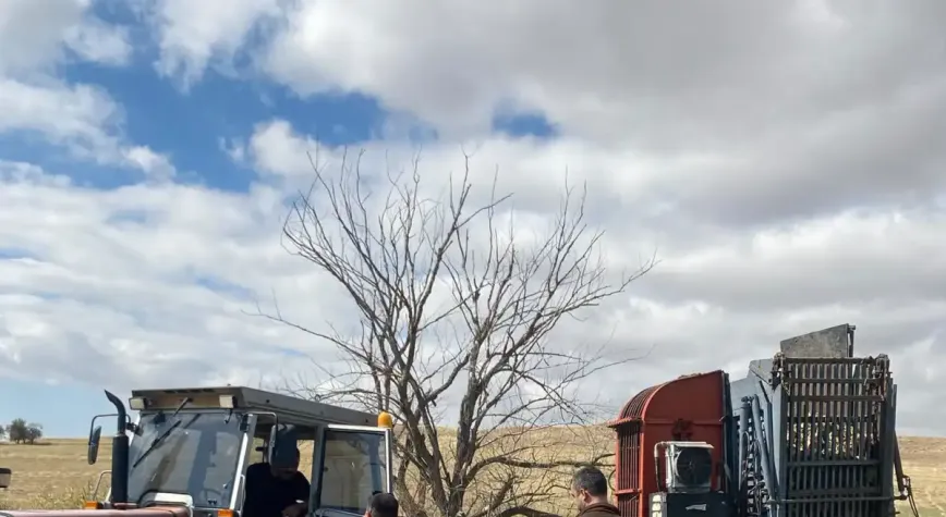 Kırıkkale’de şeker pancarı hasadı başladı