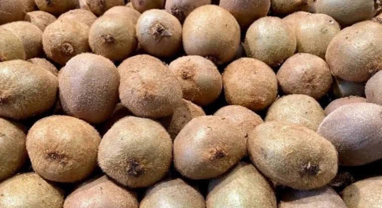 Kivide hangi vitaminler var ve neye iyi gelir?