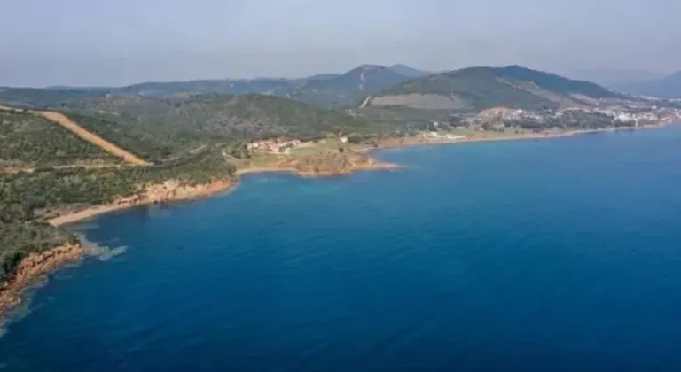 Kıyı kenar çizgisindeki orman alanları turizme tahsis edilebilecek!