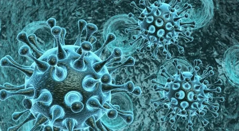 Klamoks 1000 mg nedir nedir, ne işe yarar, kimler kullanır ve fiyatı ne kadar?