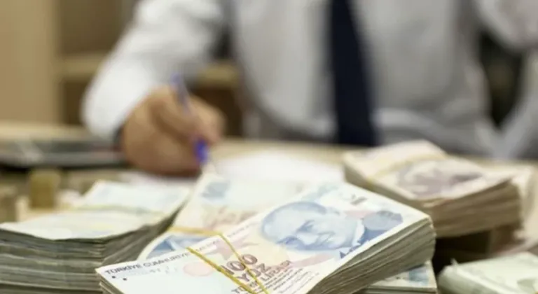 Maliye Bakanlığı vergi yüzsüzlerini duyuracak!