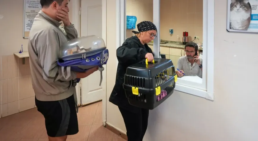Maltepe’de Sokak Hayvanlarına Ücretsiz Muayene ve Tedavi Hizmeti