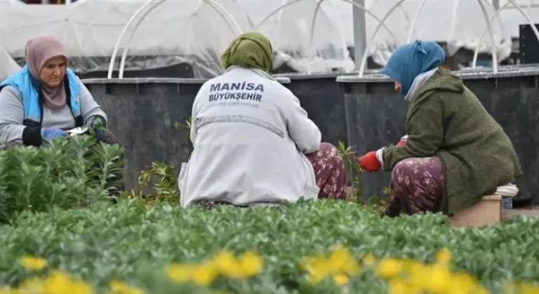 Manisa, Az Su Tüketen Bitkilerle Yeşilleniyor






